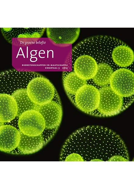 Cover van Algen met groene algen en zwarte achterkant door James Holland