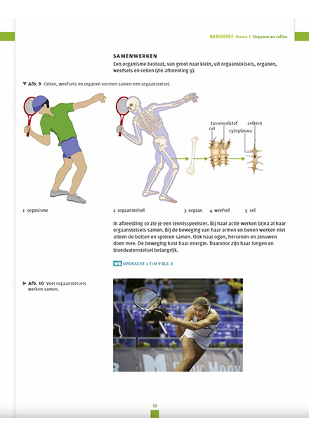 Bladzijde van een boek over verschillende lichaamsdelen die samenwerken, als je tennist